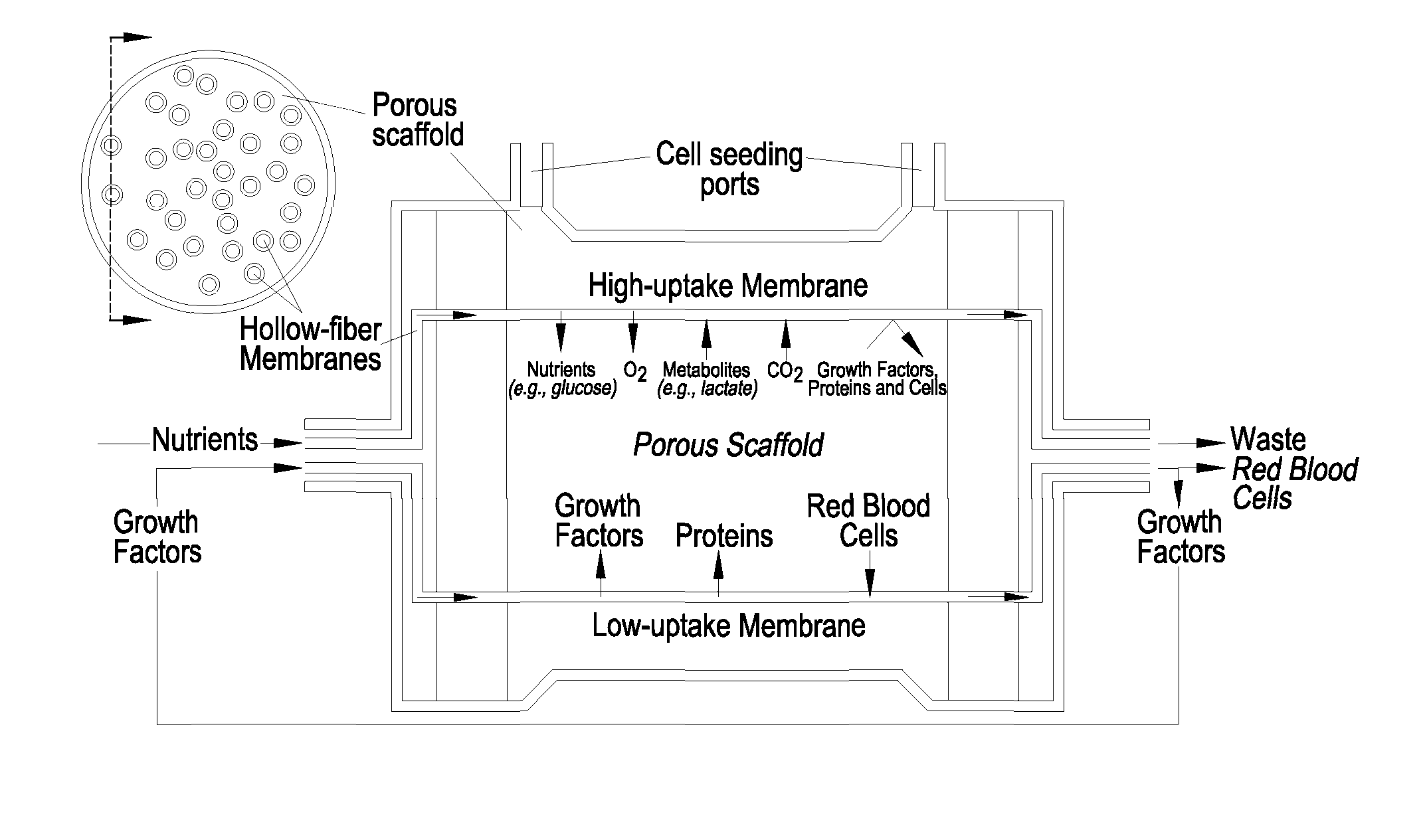 Bioreactor