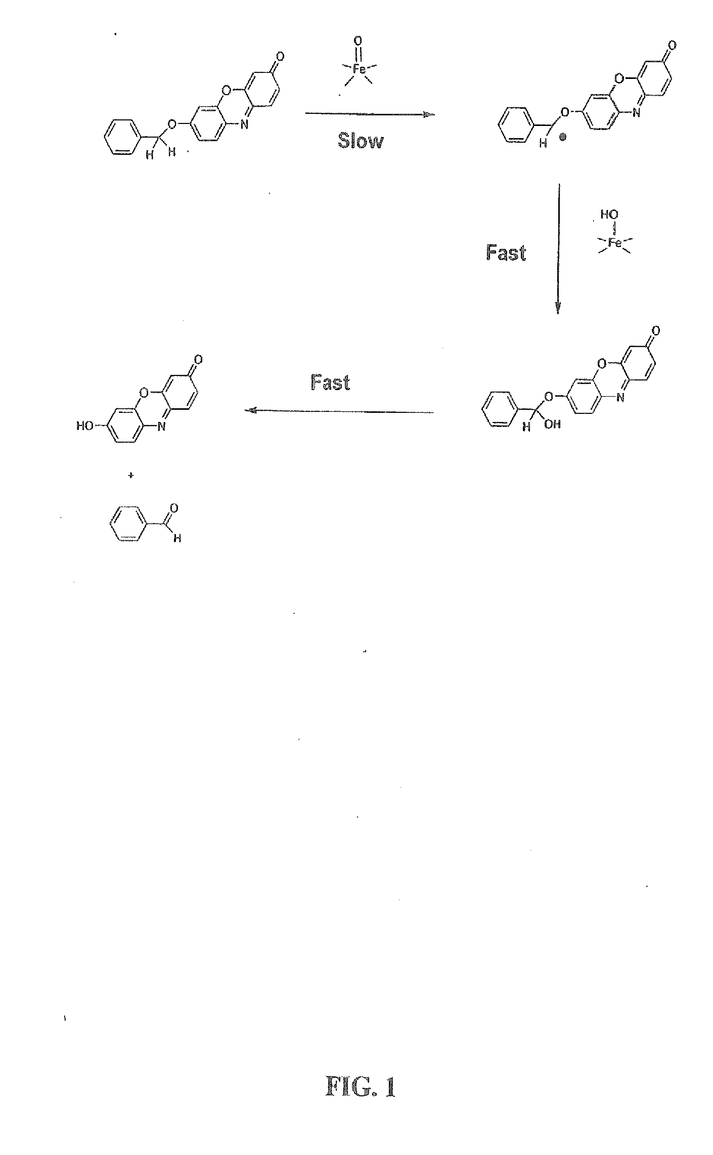 Optical molecular sensors for cytochrome p450 activity