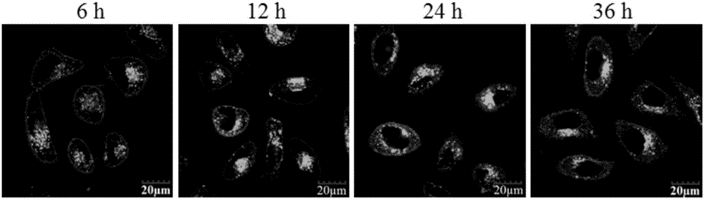 Modified conjugated polymer, and preparation method and application thereof