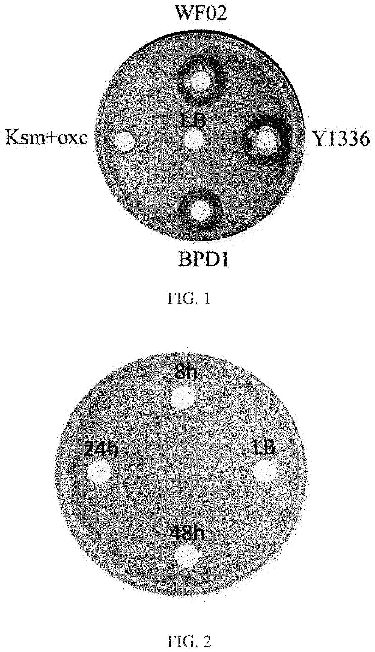 Method of improving the ability of plants to resistance diseases