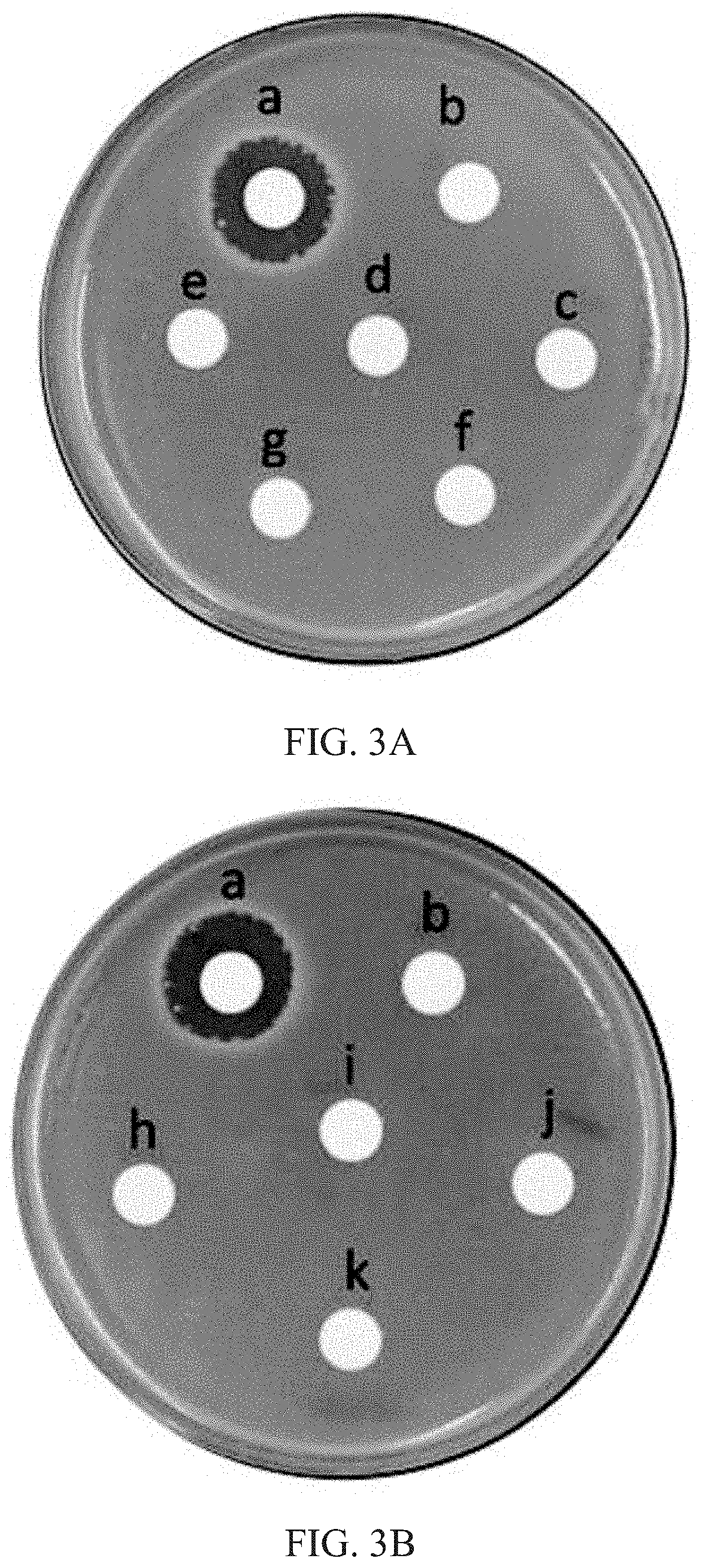 Method of improving the ability of plants to resistance diseases