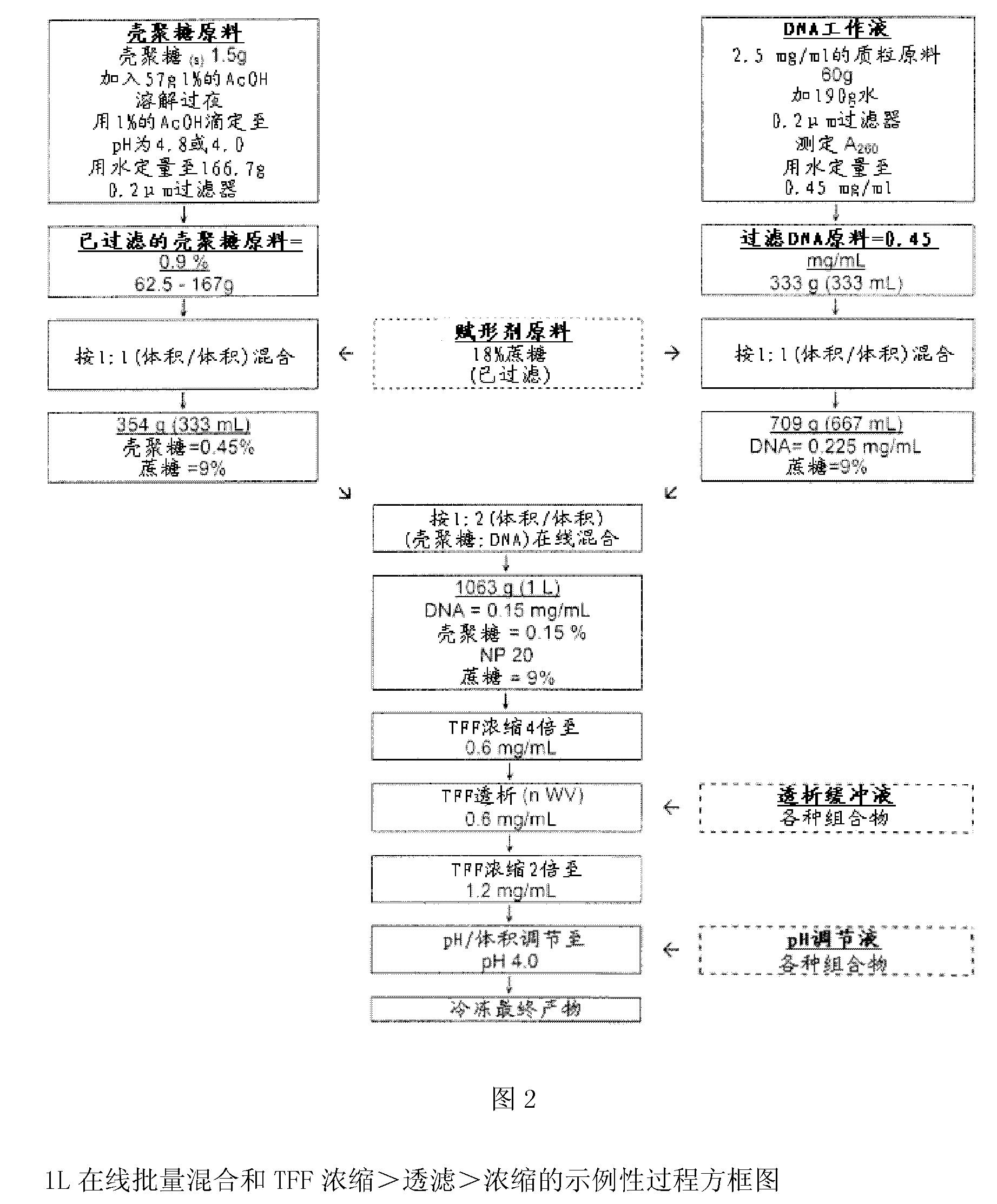 Highly acidic chitosan-nucleic acid polyplex compositions