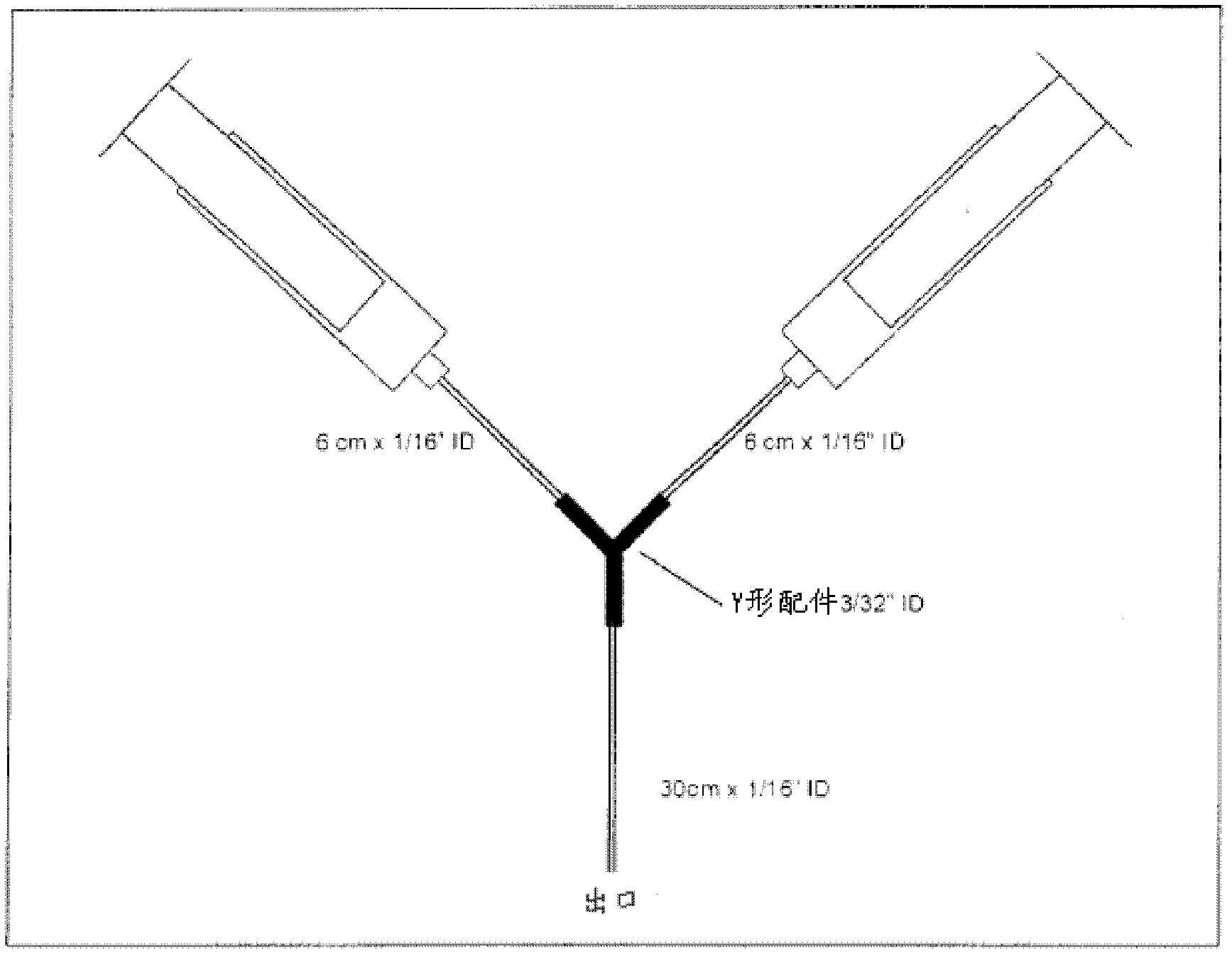 Highly acidic chitosan-nucleic acid polyplex compositions