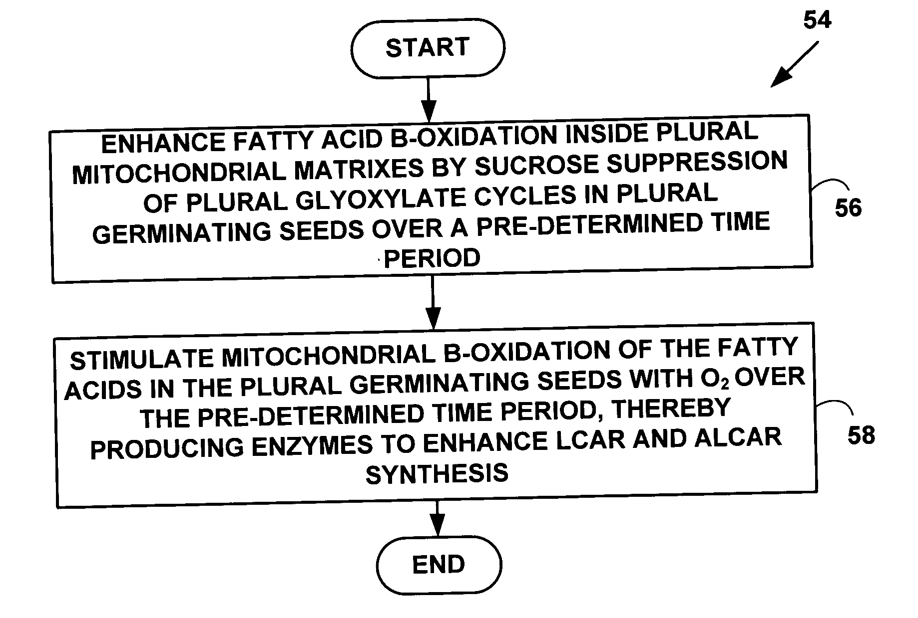 Compounds, compositions and methods for treating neuropsychiatric disorders