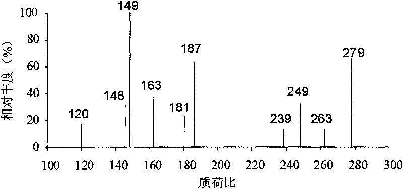 Quality detection method of traditional Chinese medicine of isatis root