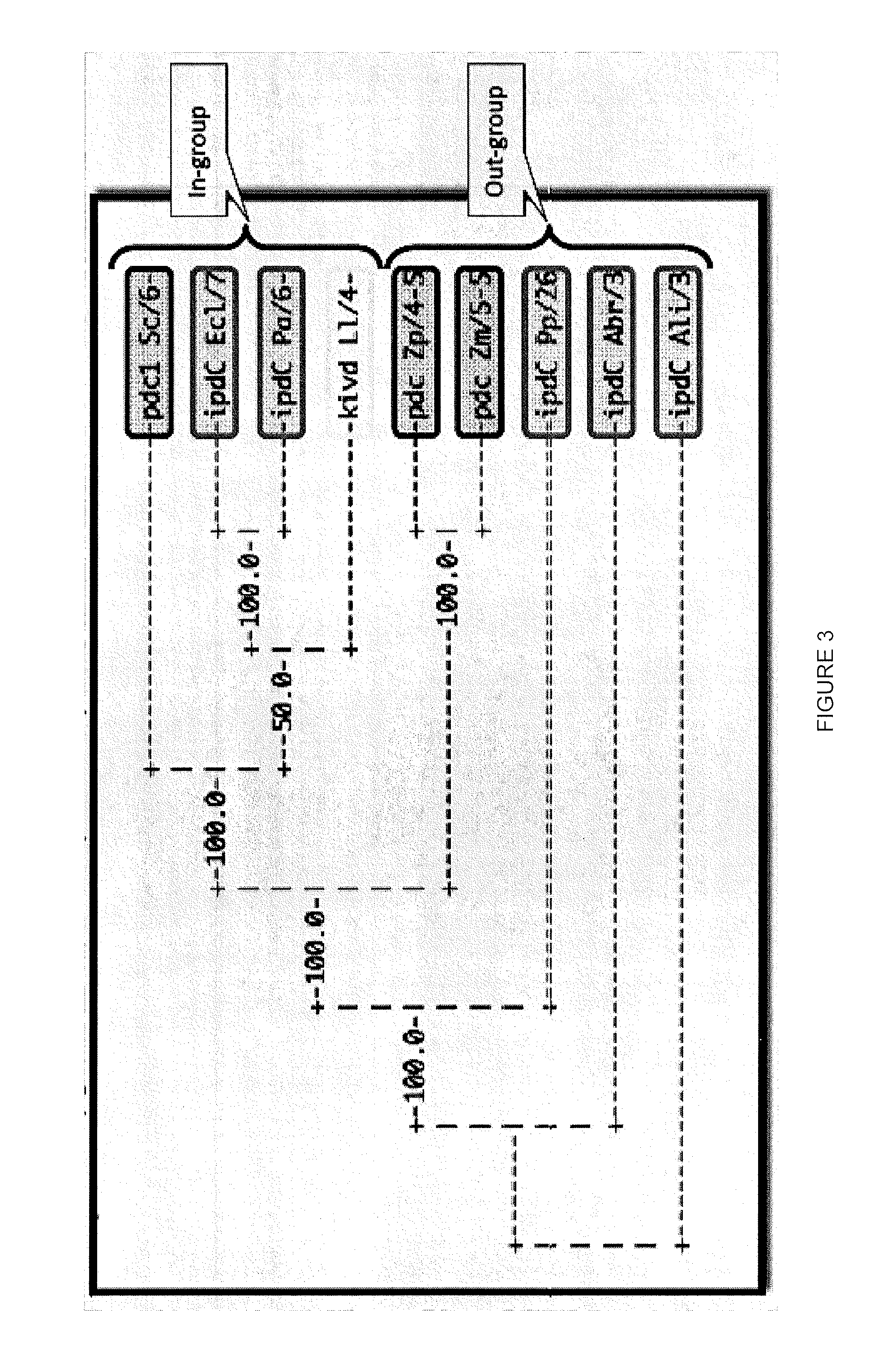 Decarboxylase proteins with high keto-isovalerate decarboxylase activity