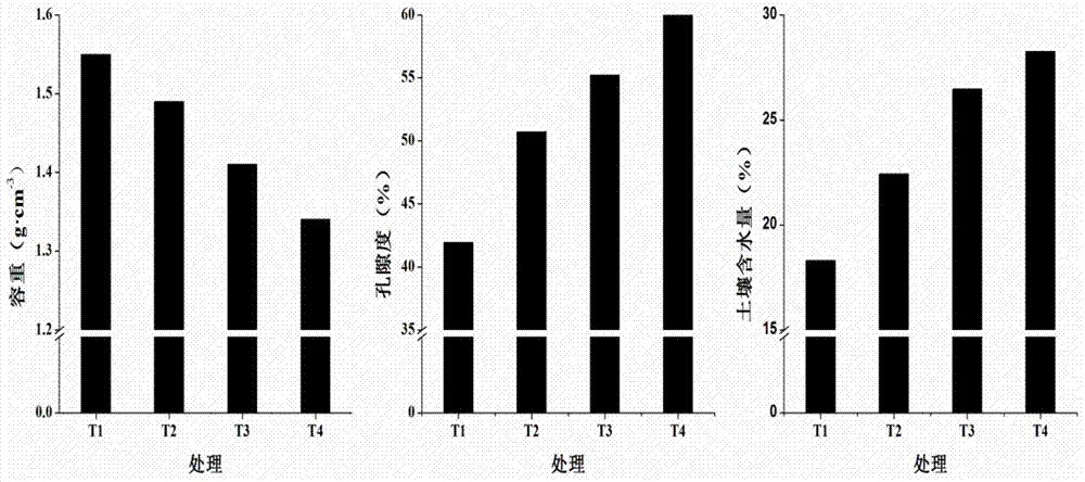 Biochar-based microbial soil conditioner and preparation method thereof