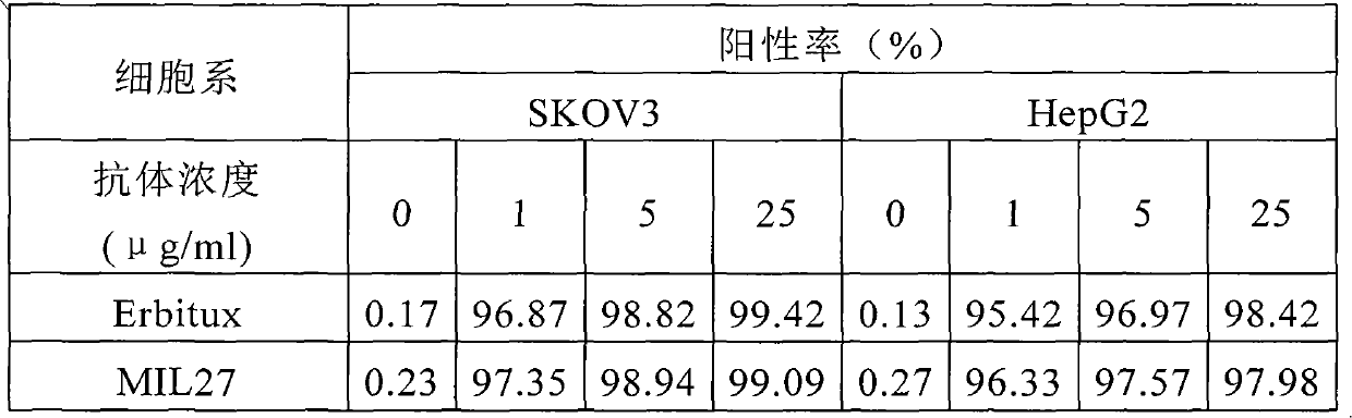 Preparation of novel anti-EGFR human source antibody MIL27 and application thereof