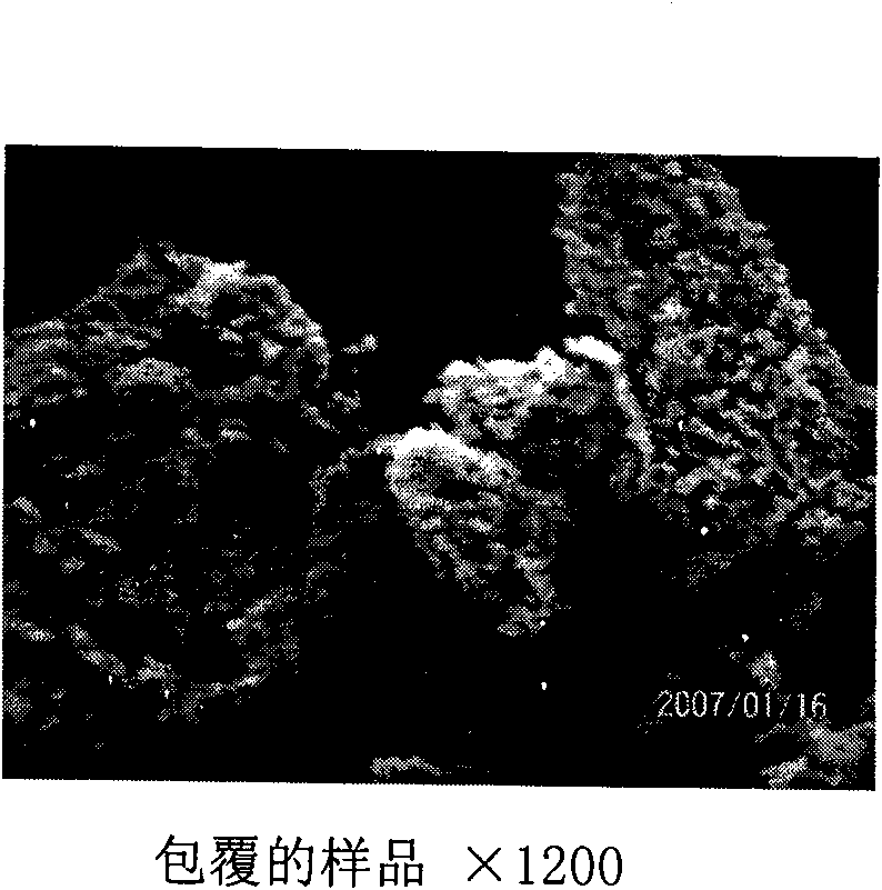 Preparation method for anti-settling flocculent organic polymer clad noctilucent powder