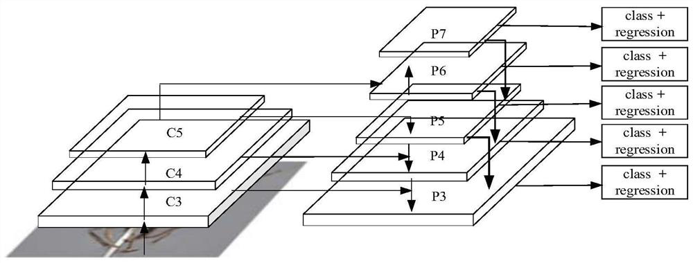 Diptera insect identification method based on deep convolutional neural network