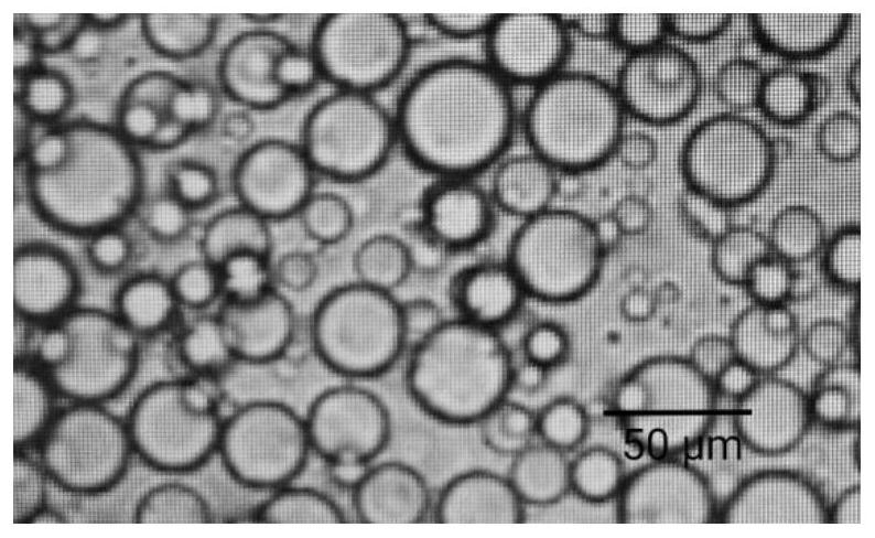 Hydroxychloroquine sulfate sustained release microsphere for articular cavity injection and preparation method thereof