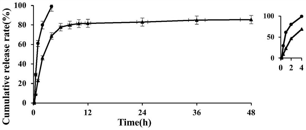 Hydroxychloroquine sulfate sustained release microsphere for articular cavity injection and preparation method thereof