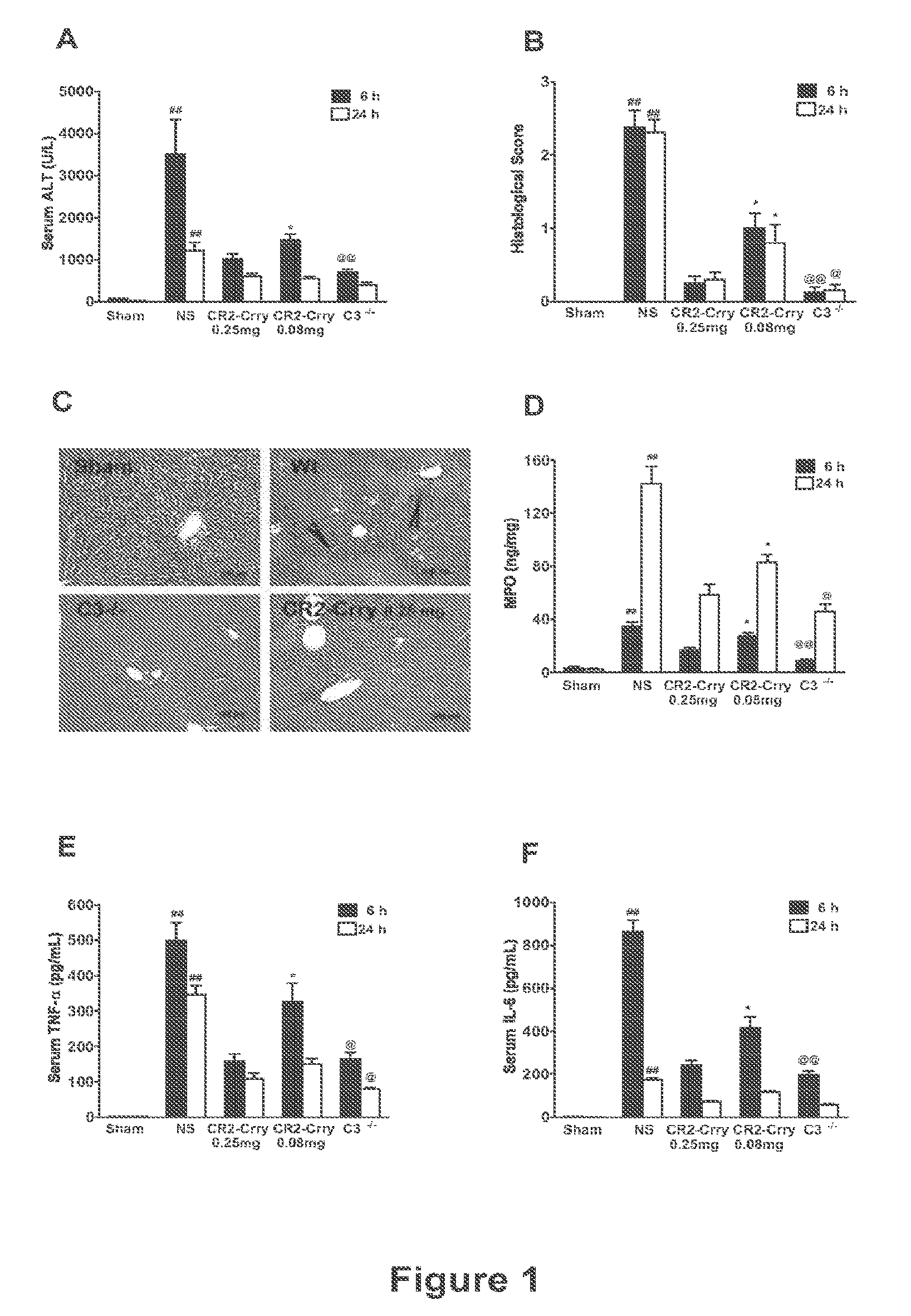 Methods of stimulating liver regeneration