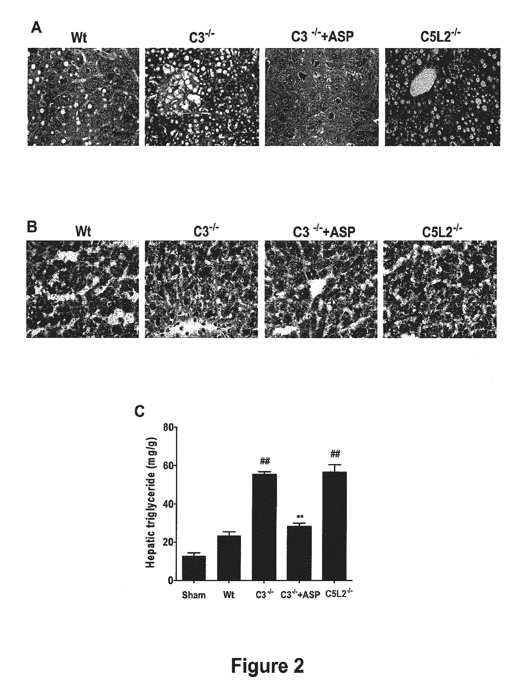 Methods of stimulating liver regeneration