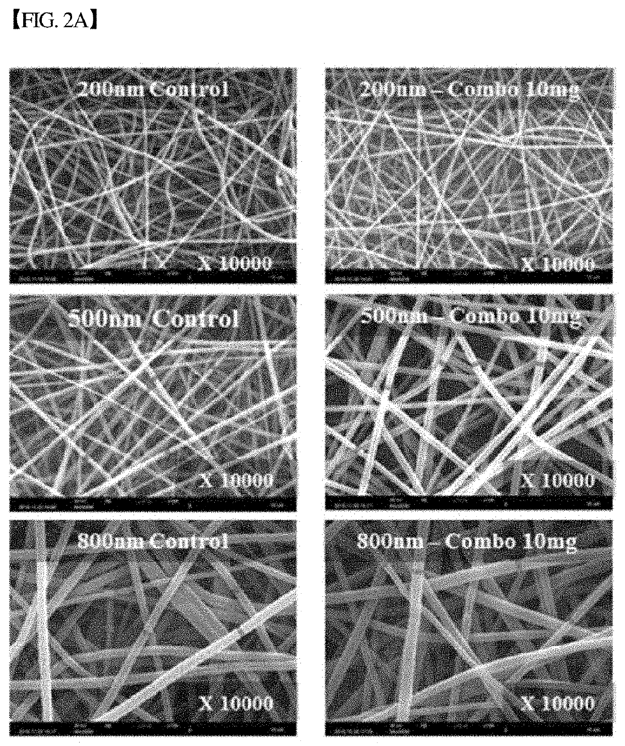 Three-dimensional micro-environment structure for controlling cell behavior, three-dimensional surface for controlling cell behavior, and method for manufacturing array and three-dimensional micro-environment structure