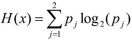 Image classification method based on local image block descriptor and Fischer vector