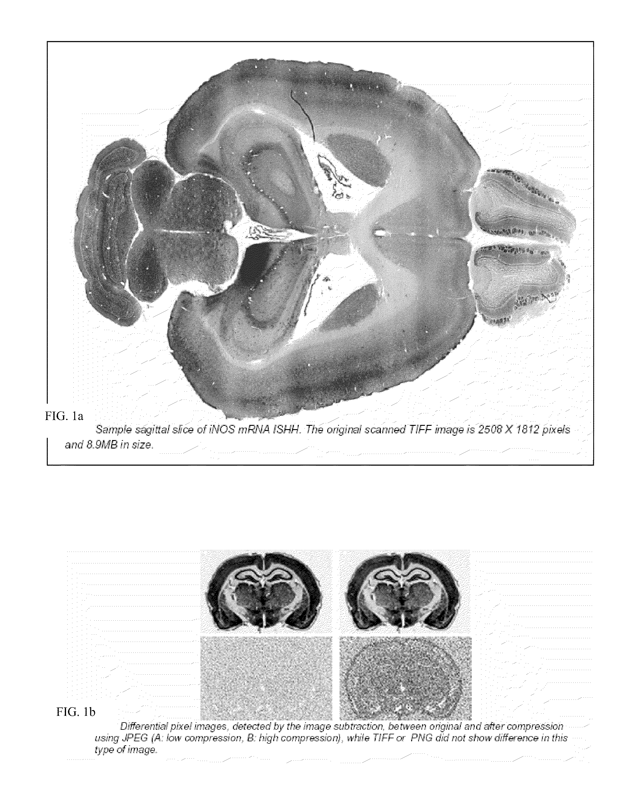 System for manipulation, modification and editing of images via remote device