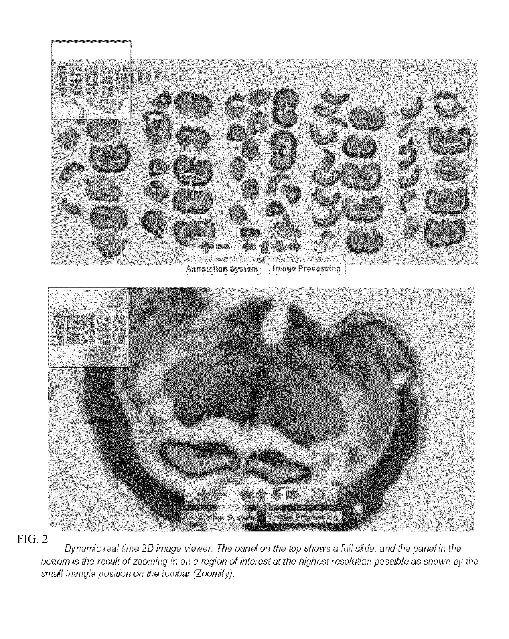 System for manipulation, modification and editing of images via remote device