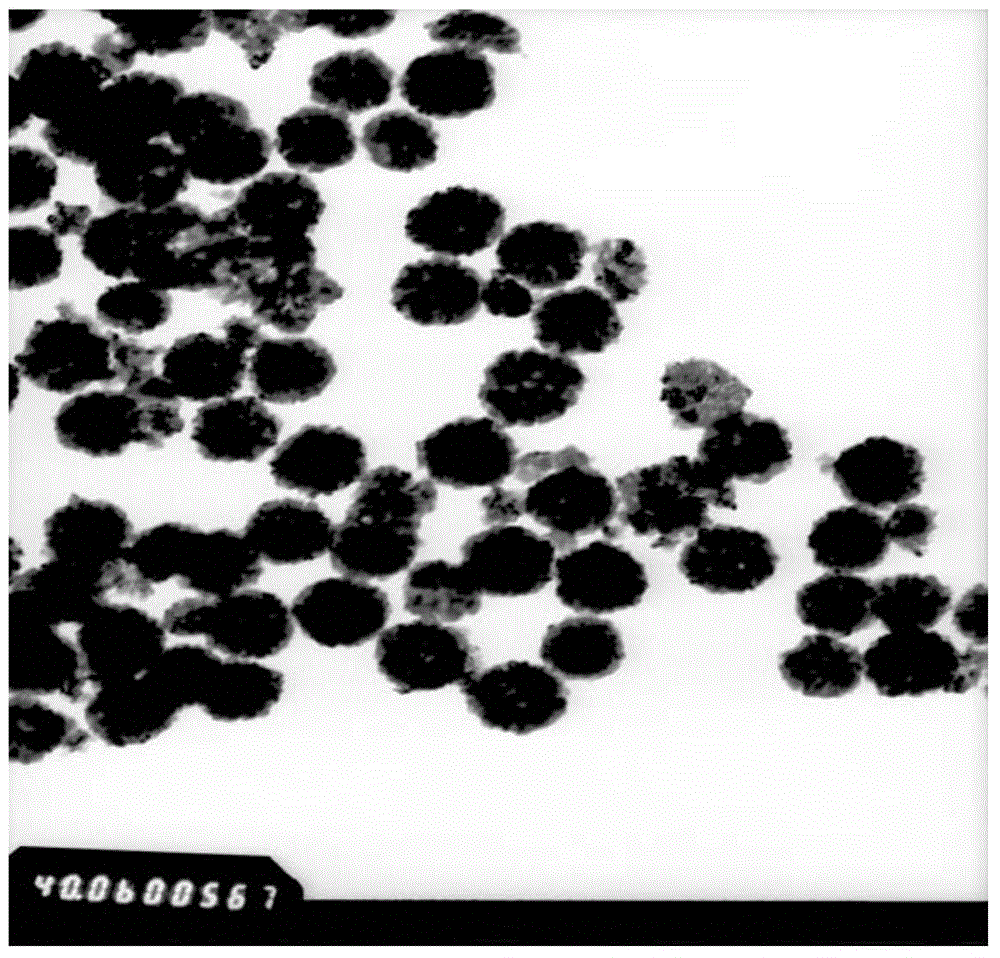 Method for preparing graphene/ferrite composite nanometer microspheres having high magnetic-electric performances