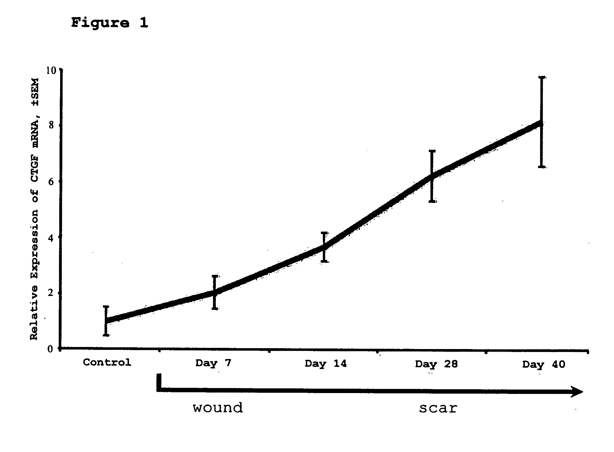 Method for reducing scarring during wound healing using antisense compounds directed to ctgf