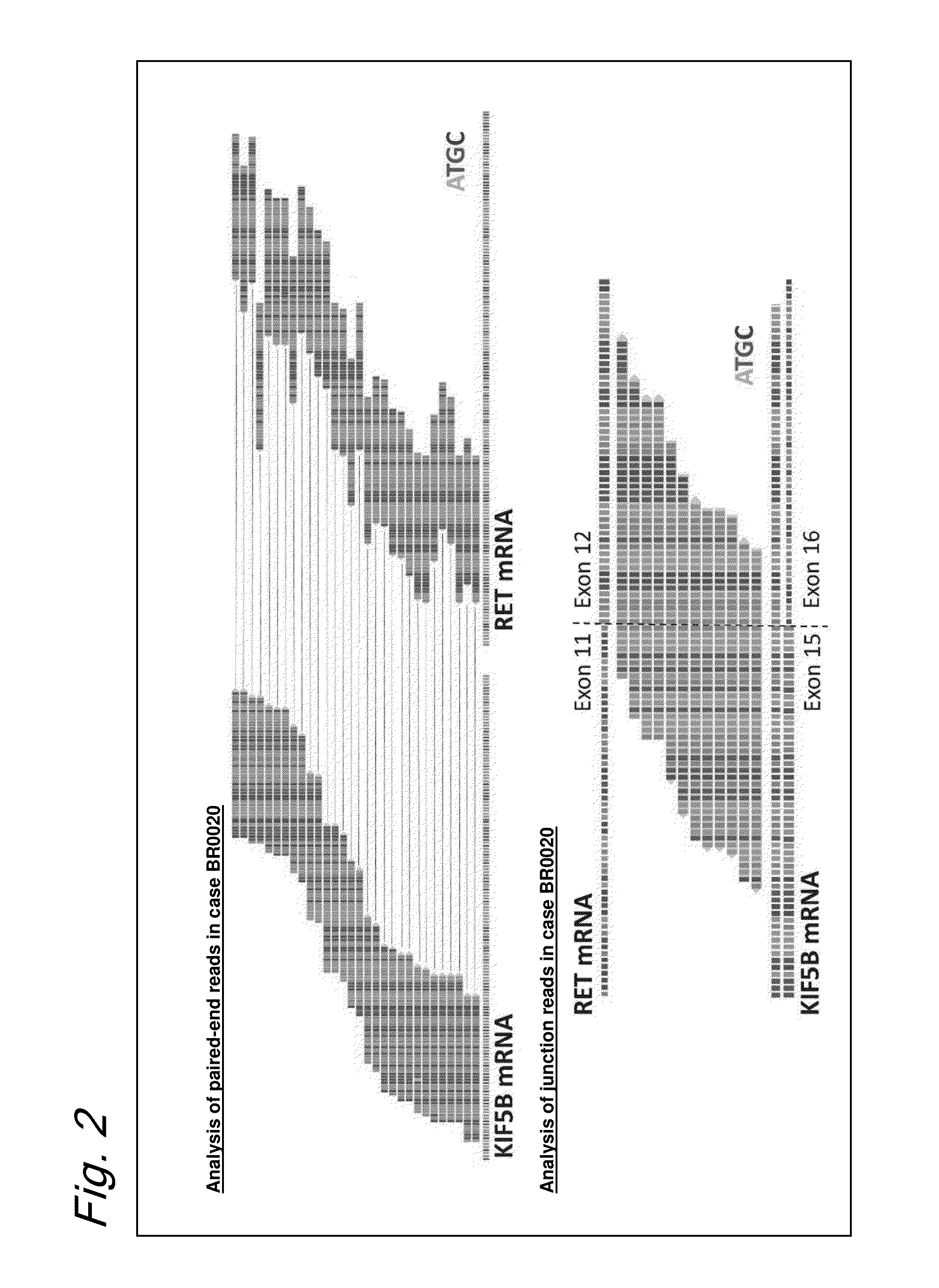 Method for determining effectiveness of cancer treatment by assessing the presence of a KIF5B-RET chimeric gene