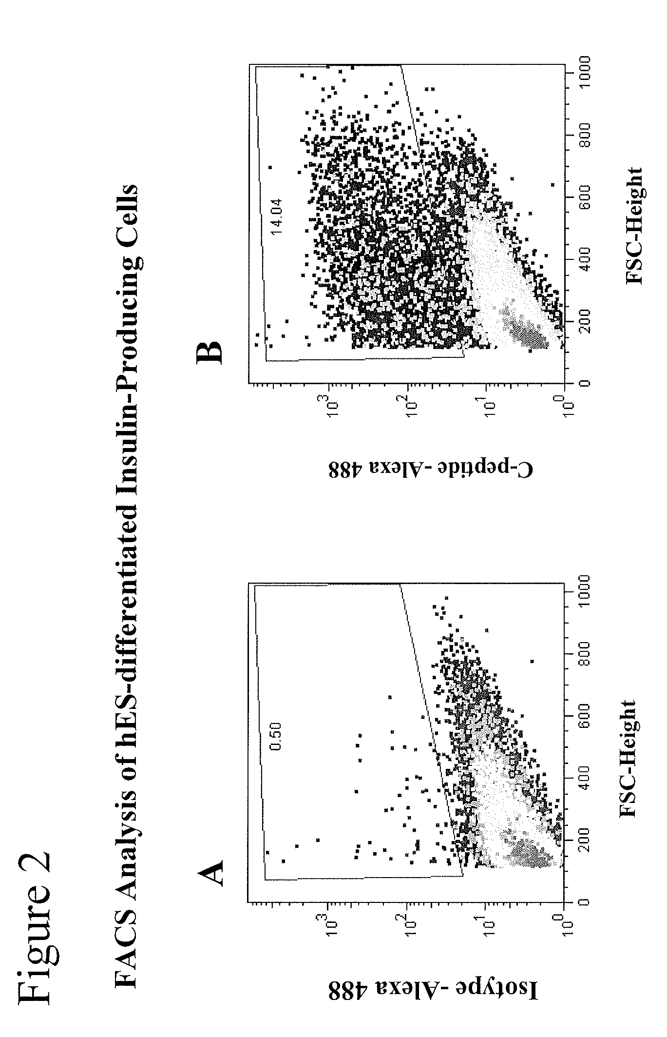 Differentiation and enrichment of islet-like cells from human pluripotent stem cells