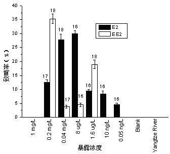 Method for testing toxicity of environmental estrogen on whitebait embryonic development