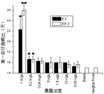 Method for testing toxicity of environmental estrogen on whitebait embryonic development