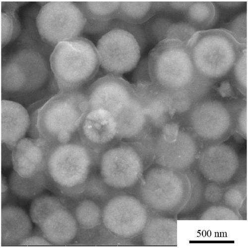 Preparation method for carbon-coated ferroferric oxide nano-shell-loaded nano gold particles