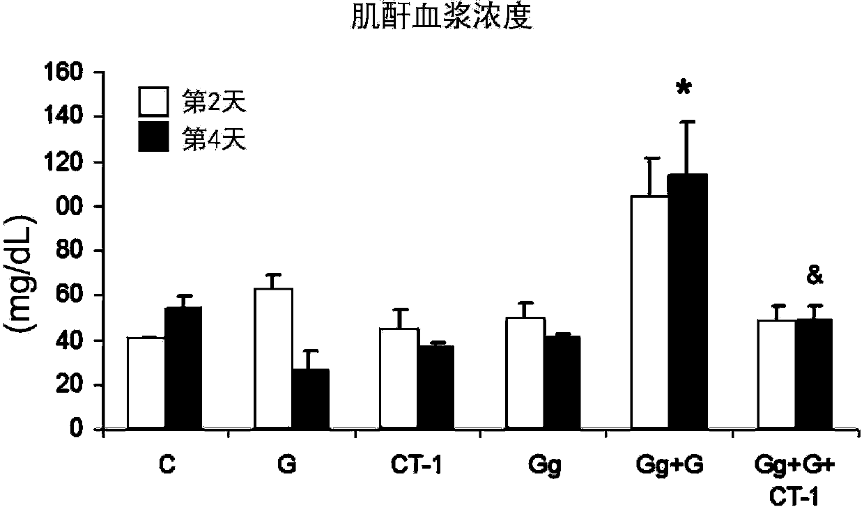 Use of cardiotrophin-1 for the treatment of kidney diseases