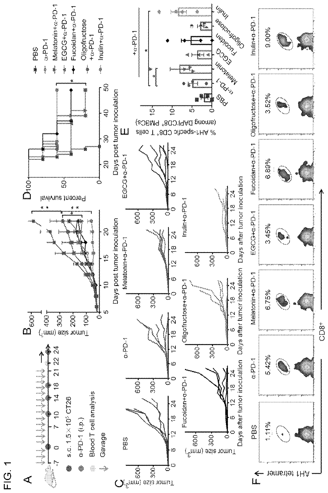 Compositions and methods for increasing the efficacy of immunotherapies and vaccines