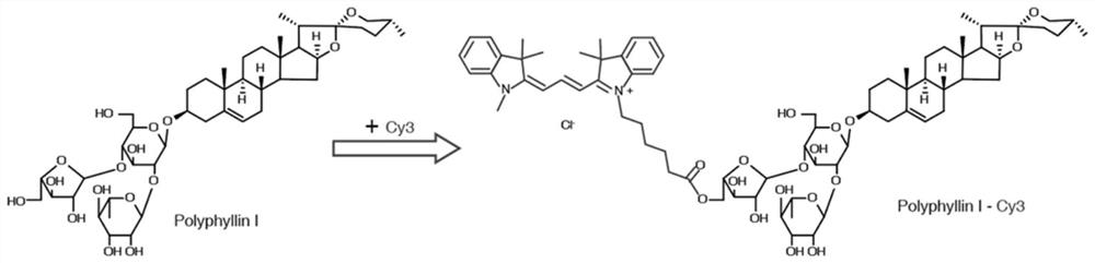 The application of papaya saponin Ⅰ in the detection of lysosome