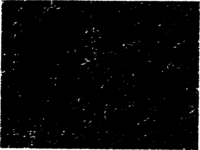 Method for synthesizing high performance aluminium nitride powder