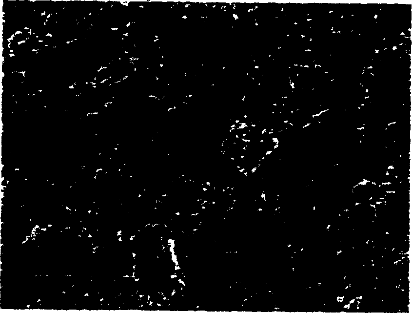 Method for synthesizing high performance aluminium nitride powder