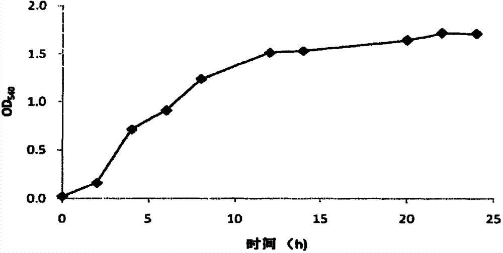 Method for culturing microbial strain for degrading industrial waste water