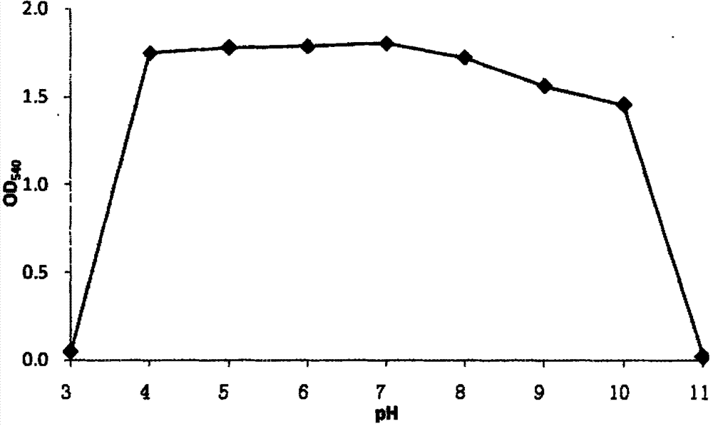 Method for culturing microbial strain for degrading industrial waste water