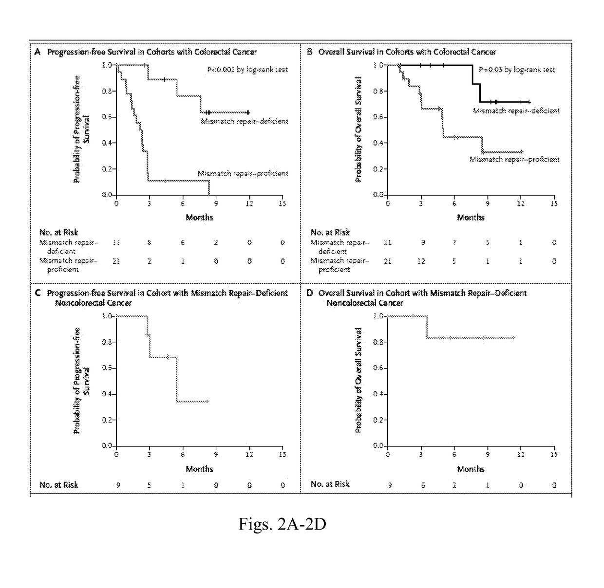 Checkpoint Blockade and Microsatellite Instability