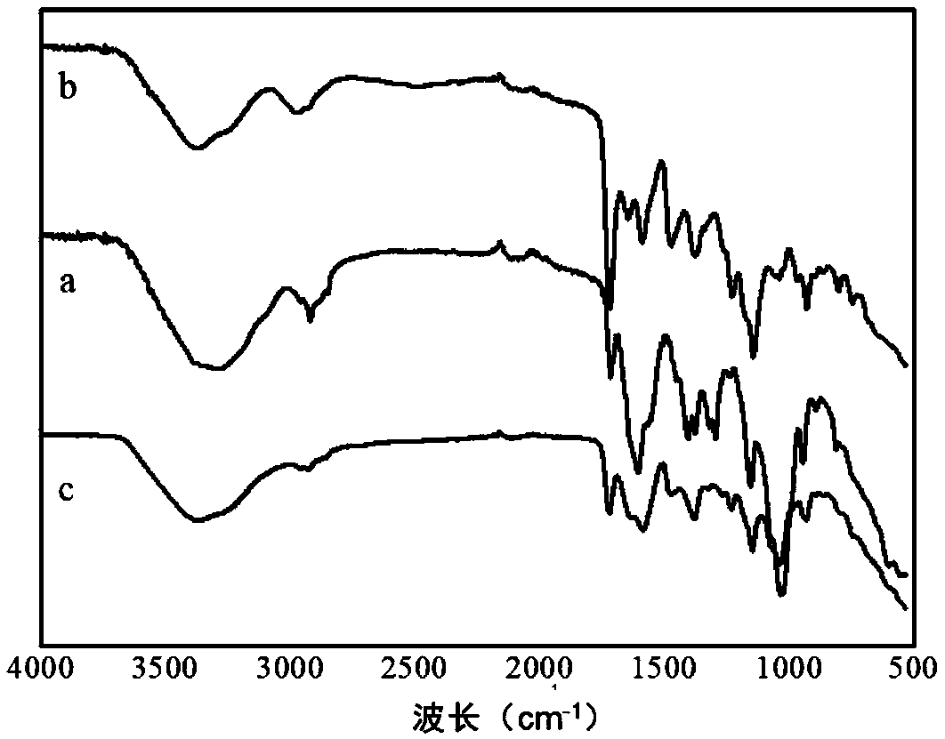 Preparation method of modified polysaccharide hydrogel and prepared modified polysaccharide hydrogel