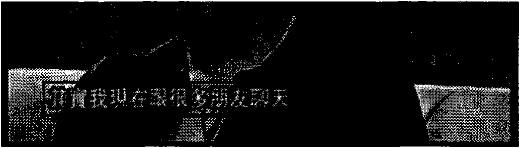 Method and device for segmenting characters from video image