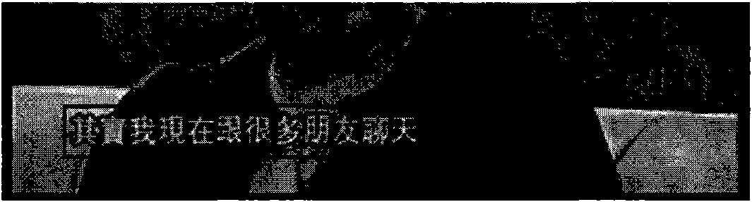 Method and device for segmenting characters from video image