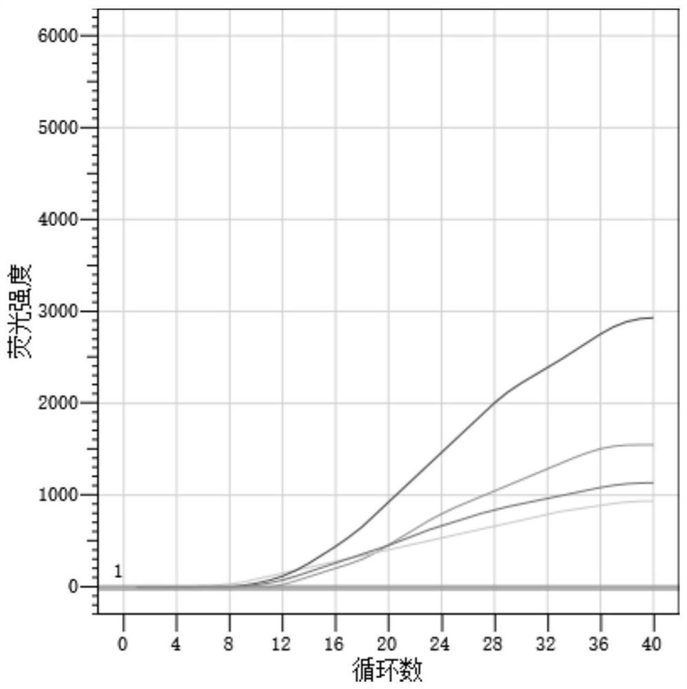 Primer-probe, kit and rapid detection method for detecting novel coronavirus