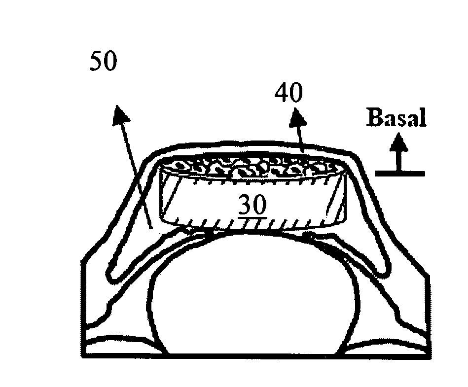 Biopolymer-bioengineered cell sheet construct