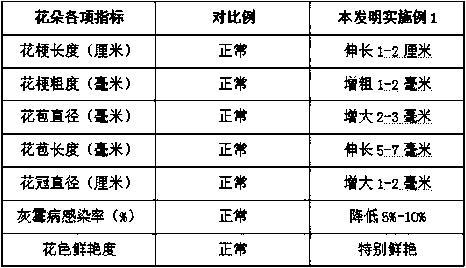 Method for improving quality of fresh cut Chinese rose flowers