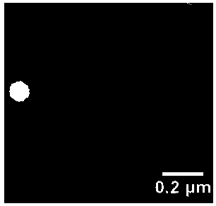 Fat-reducing drug resveratrol-loading controlled release nano carrier for oral administration and preparation method thereof