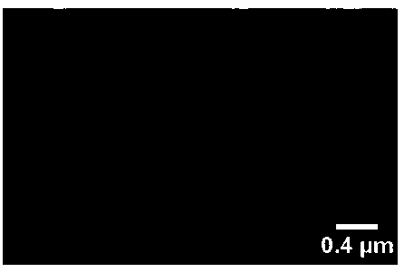 Fat-reducing drug resveratrol-loading controlled release nano carrier for oral administration and preparation method thereof