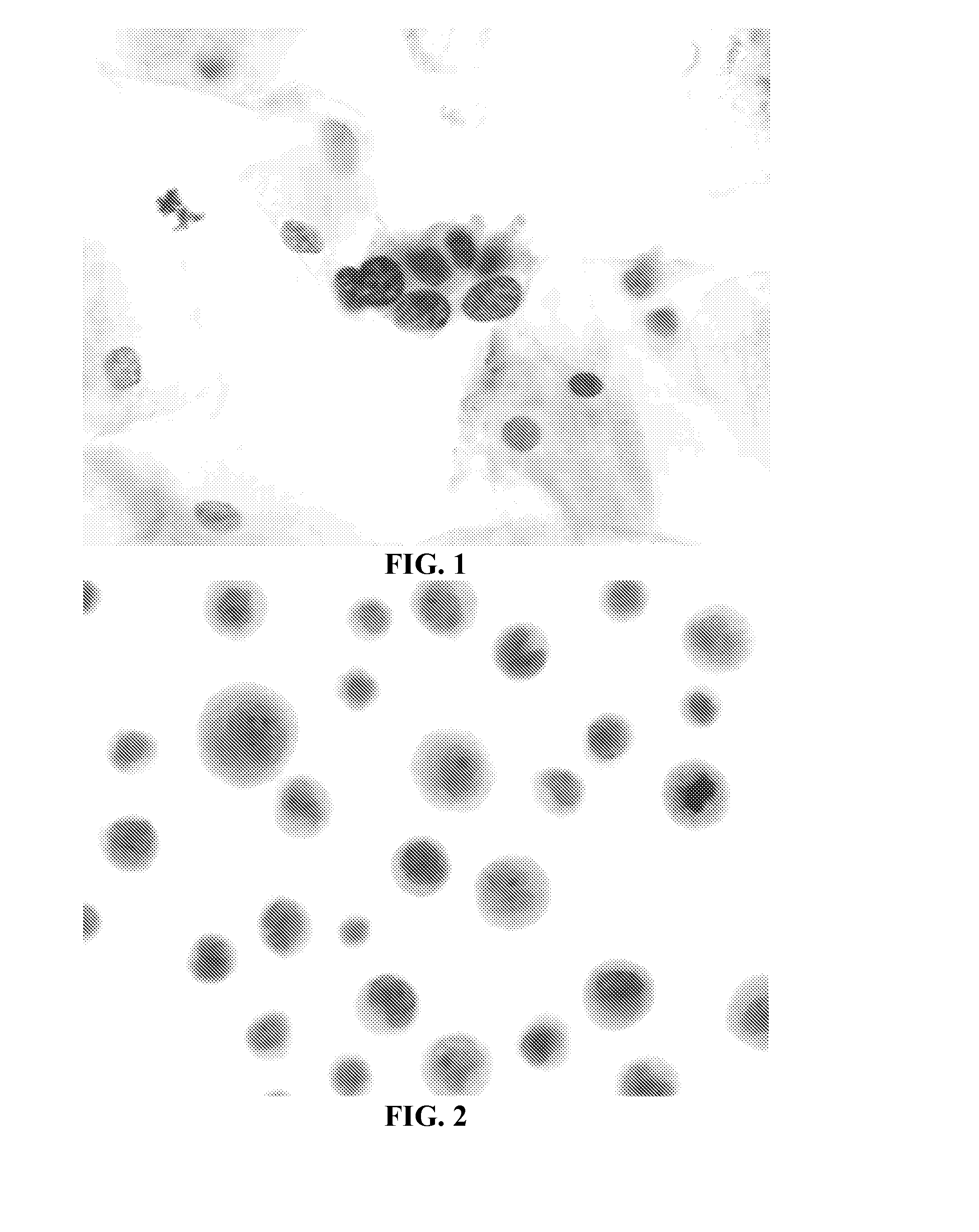 Methods and compositions for preparing samples for immunostaining