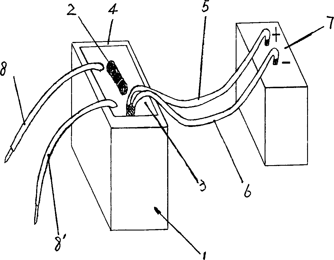 Ion generating apparatus