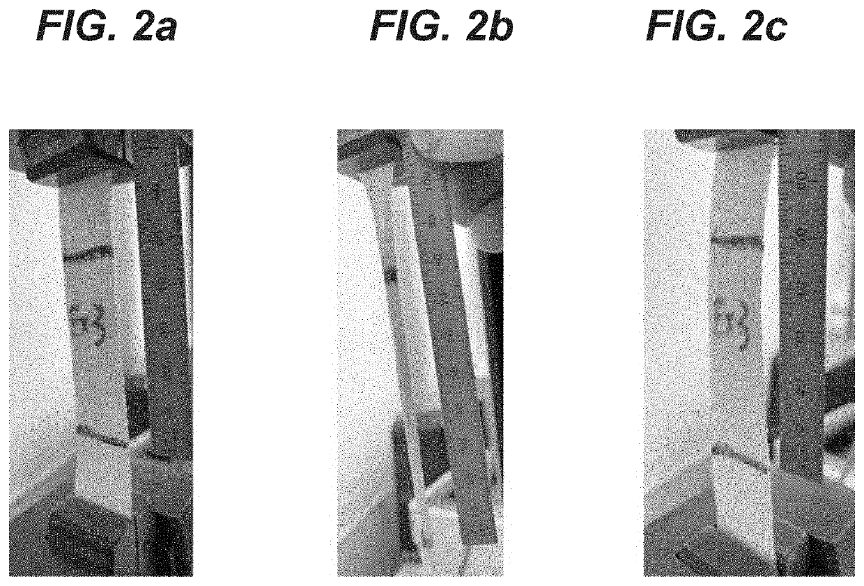 Novel Topical Skin Closure Compositions and Systems