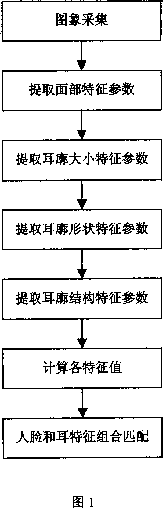 Combined recognising method for man face and ear characteristics