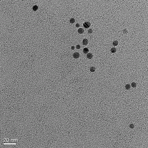 Nano-silver antibacterial composite decorated by modified chitosan, preparing method and application